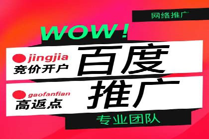 百度竞价代理优化策略：案例分享与借鉴